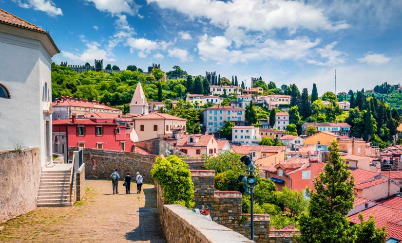 Half Day Tour to Piran