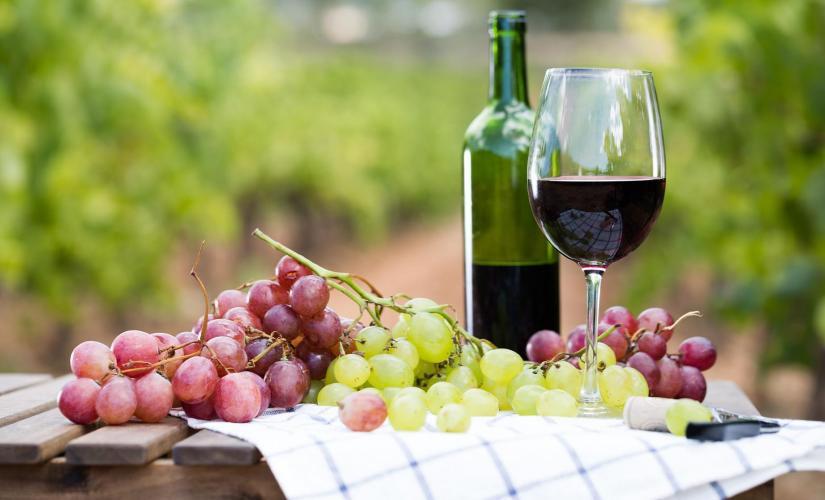 Discover Livorno and Bolgheri Wine Experience