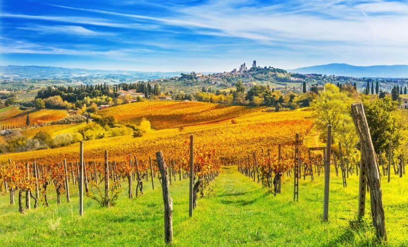 San Gimignano Discovery and Winery Tasting from Livorno