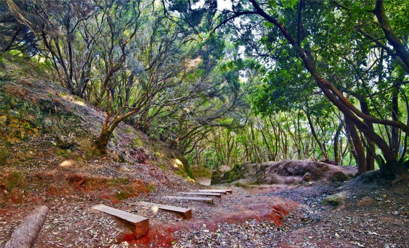 Ribeiro Frio, Portela Walk