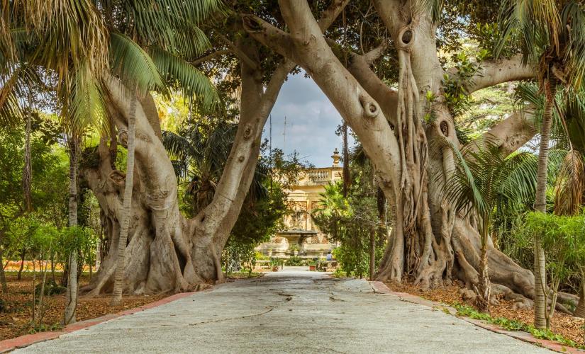 Rabat and Mdina