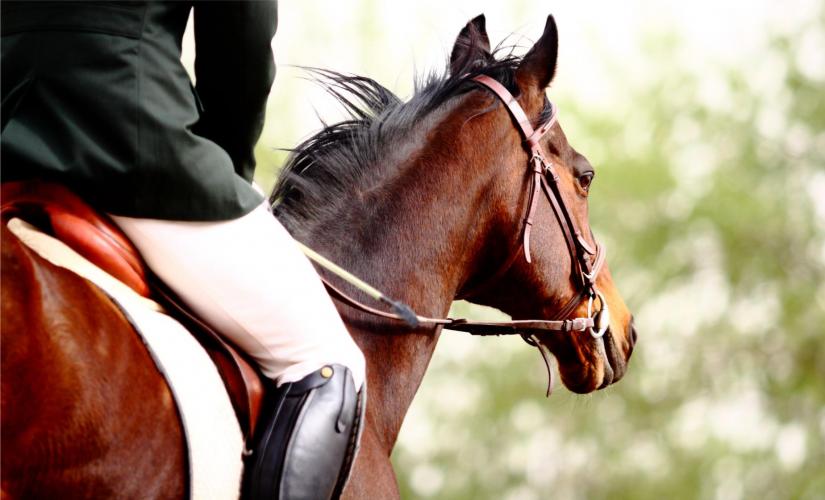 Vesuvius Horseback, Pompeii and Wine Tasting