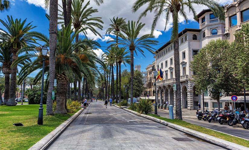 Discover Palma by Foot
