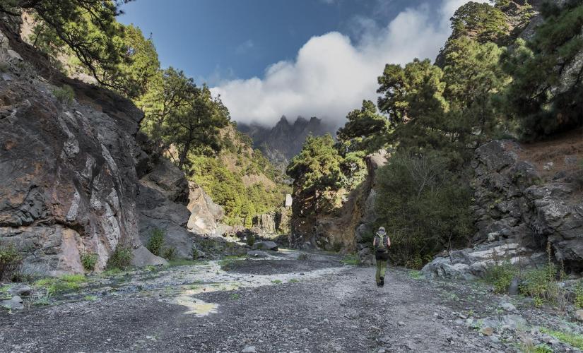Adventure Trekking