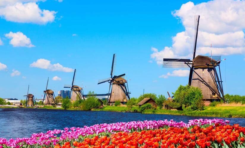 Private Rotterdam and Kinderdijk At Your Pace