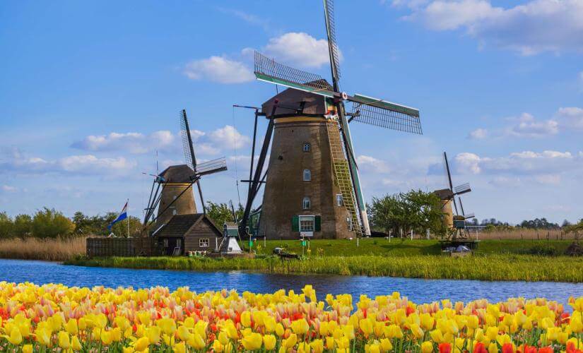 Private Rotterdam and Kinderdijk City Highlights Walk with Canal Cruise