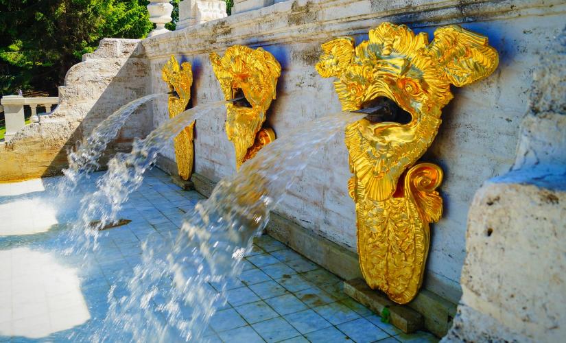 Peterhof Gardens by Hydrofoil (Visas Included)