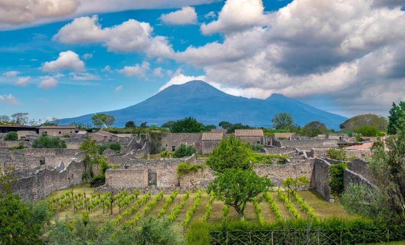 Historical Pompeii, Vesuvius, and Vineyard with Lunch from Sorrento