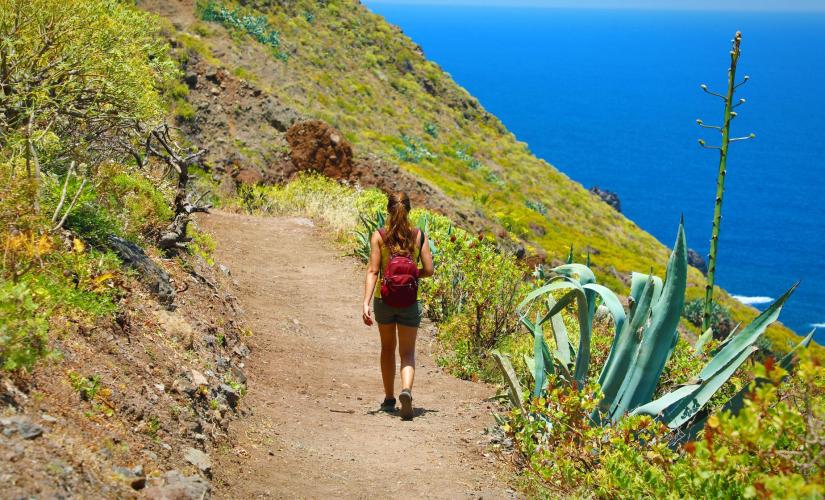 Secrets of North Tenerife