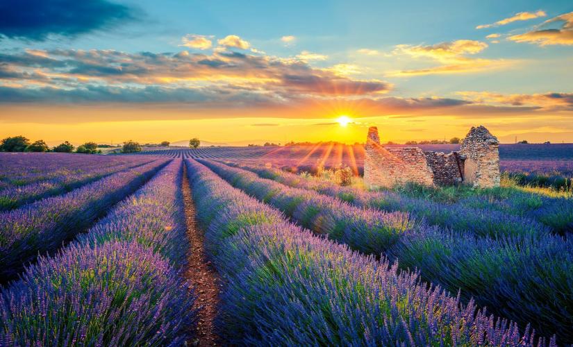 Private Provence: Le Castellet, Cassis and Marseille