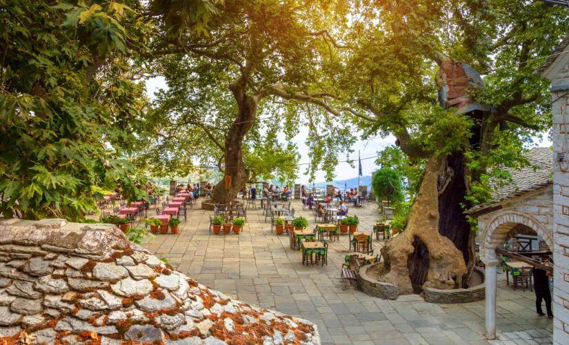 Panoramic Pelion Villages and Wine Tasting