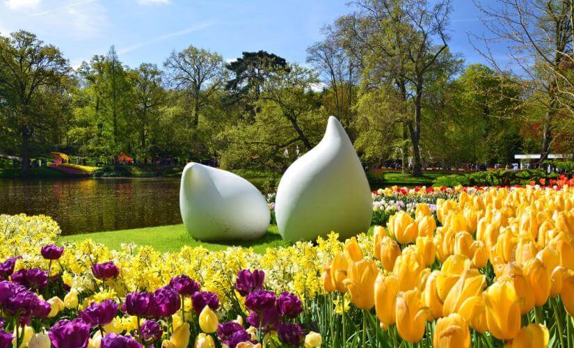 Private Delft Highlights, Keukenhof Tulips, and Windmills Views from Zeebrugge