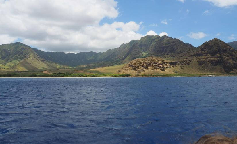 Cliffs and Waterfalls of Hilo Sightseeing Cruise