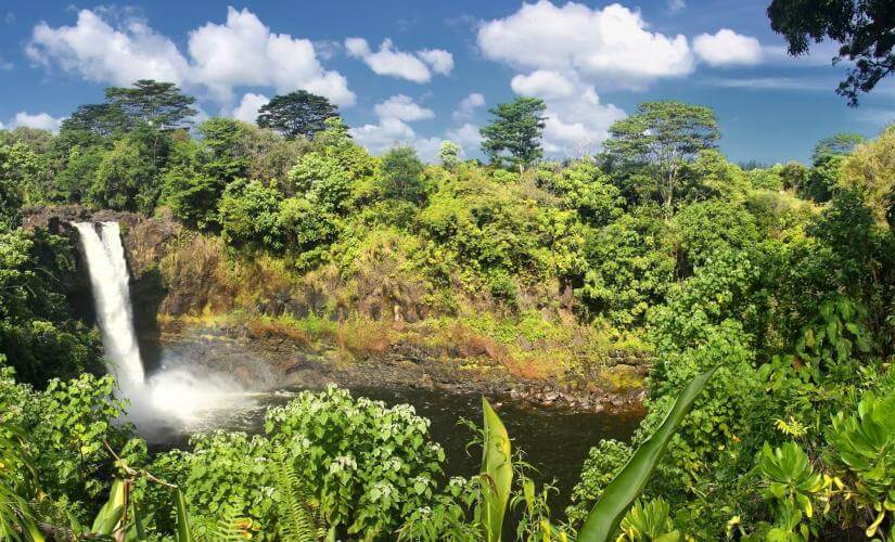 Best of Hilo, Kahului, Honolulu, and Ensenada Four Port Package