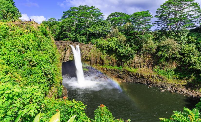 Volcanoes National Park & Rainbow Falls Tour in Hilo (Akatsuka Orchid Nursery)