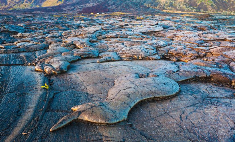Volcano & Highlights of Hilo Adventure