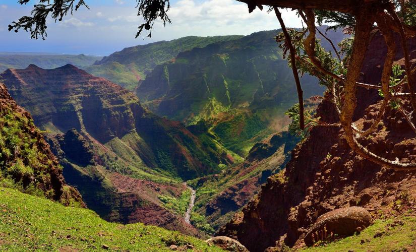 Waimea Canyon & Wailua River Tour in Kauai (Spouting Horn, Old Koloa Town)