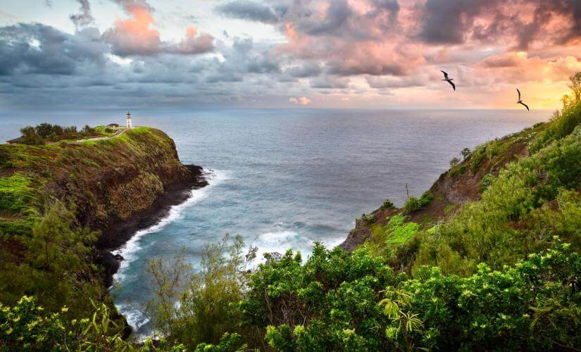 Best of Kauai (Nawiliwili), Hawaii, Kahului, Maui, Hawaii, Kailua-Kona, Hawaii, and Honolulu, Oahu, Hawaii Package