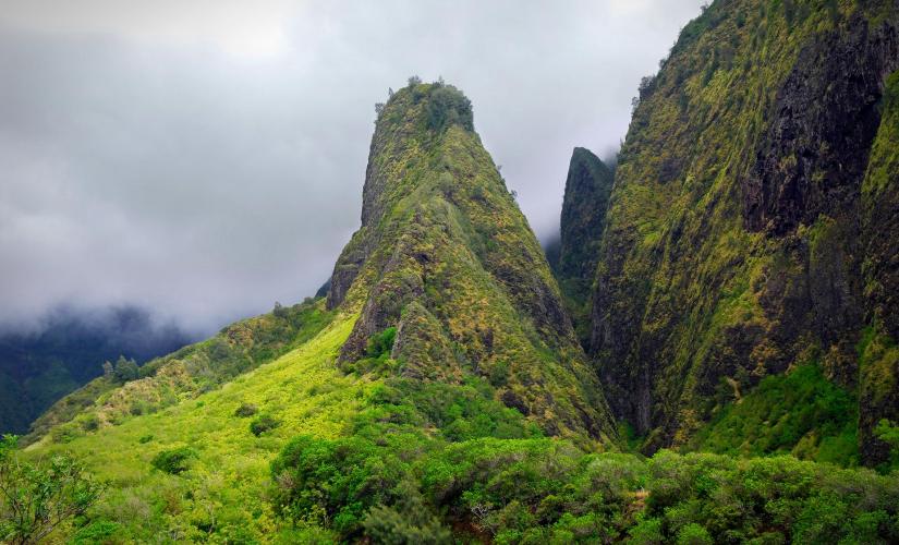 Private Tropics of Maui and Rainforest Valley