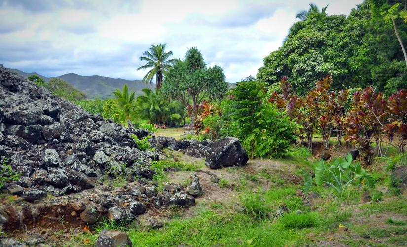 A Cultural Exploration of Oahu