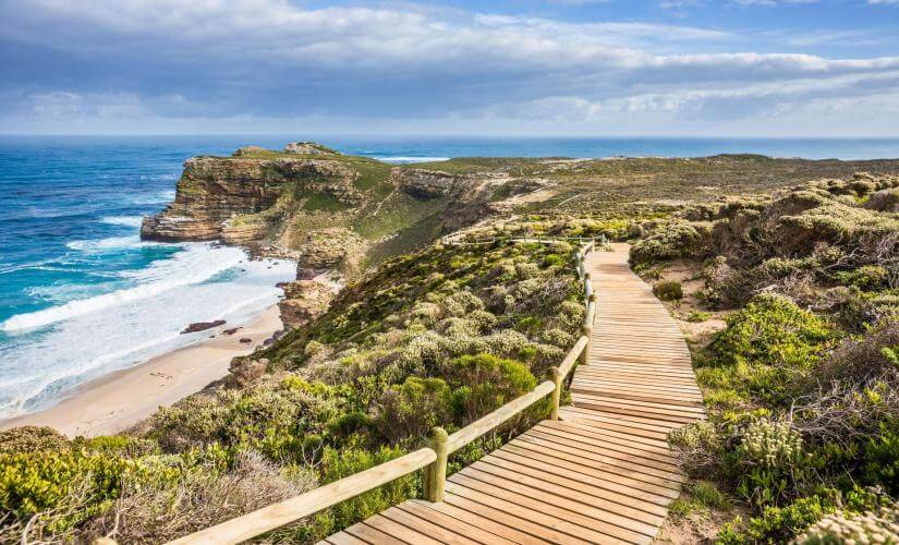 Cape Point Full Day Scenic Peninsula Drive