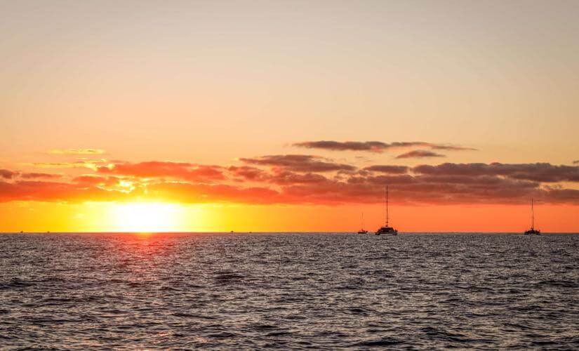 Cabo Sunset Catamaran with Open Bar, Snacks, and Live Music