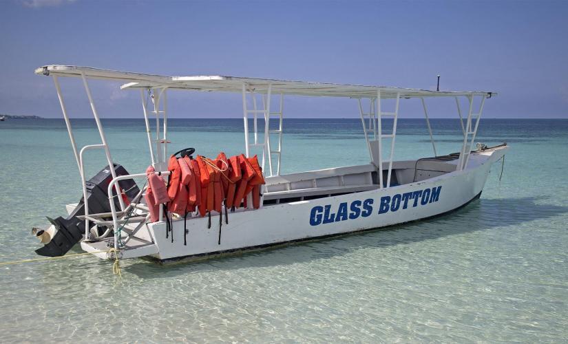 Glass Bottom Boat to Lands End Tour in Cabo San Lucas (Sea of Cortes, Pelican's Beach)