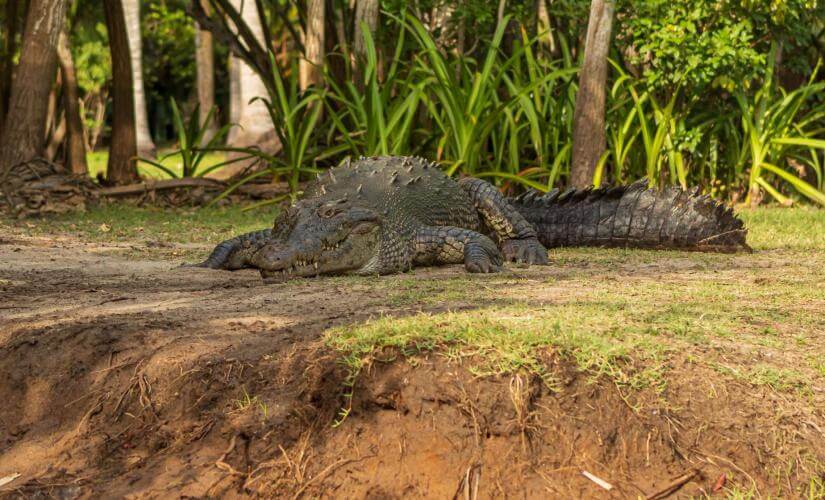 Private La Ventanilla, Mangroves, and Magical Village of Mazunte