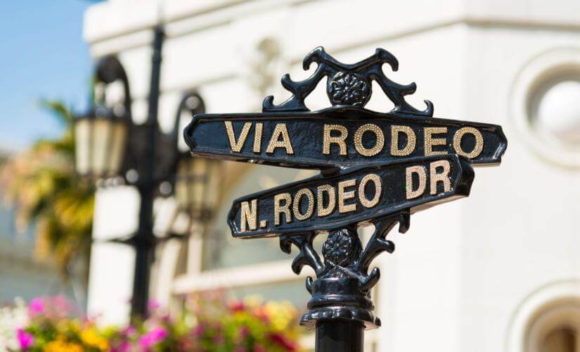Best of Hollywood, Star Homes, Beverly Hills and More (Hotel Guests)