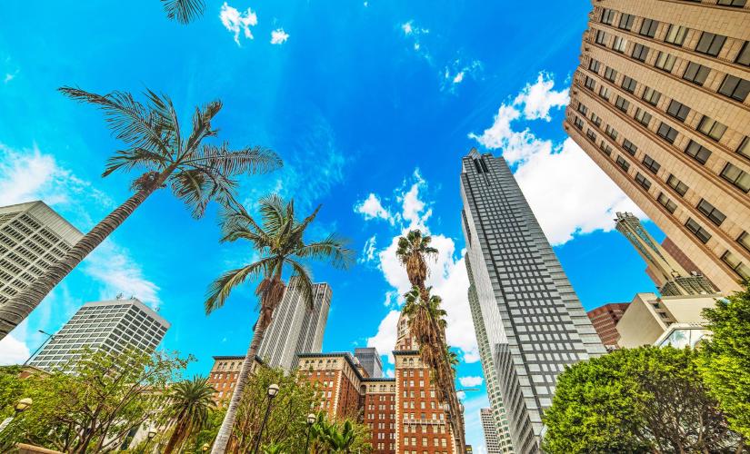 Scavenger Hunt Tour in Los Angeles (Public Library)