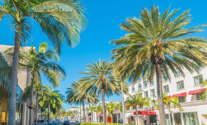Private Post Cruise Hollywood and Beverly Hills from Los Angeles