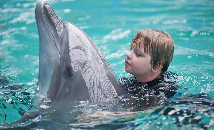 Dolphin Adventure Swim and Water Park Tour in Puerto Vallarta