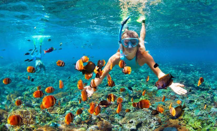 Private Yelapa Escape & Snorkeling with Beach and Lunch (VTG Singles Group 2025)