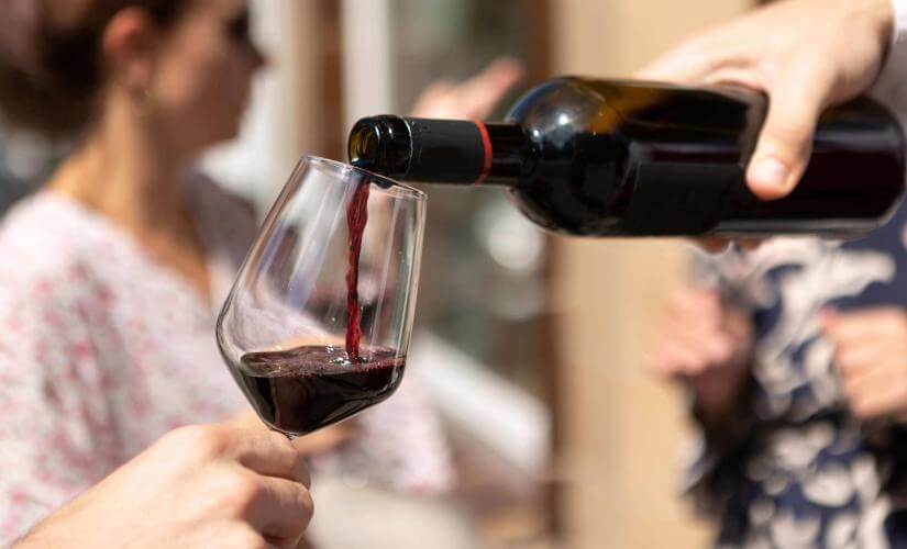 Intimate Bodega Gamboa Wine Tasting and Lunch
