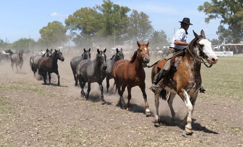 Private Gaucho Fiesta with Lunch