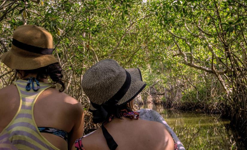 Cartagena Mangrove Canoe and Beach Horseback Eco Adventure