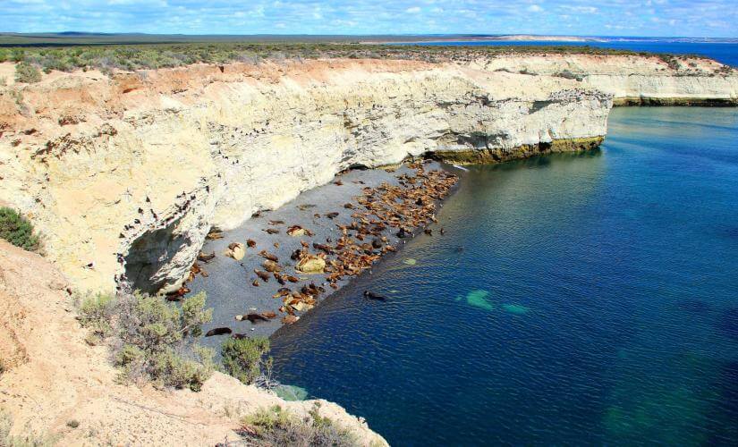 Historical Patagonia, Ecocentro Museum, and Sea Lions