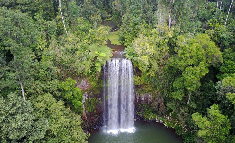 Journey to the Waterfalls of the Amazon Jungle