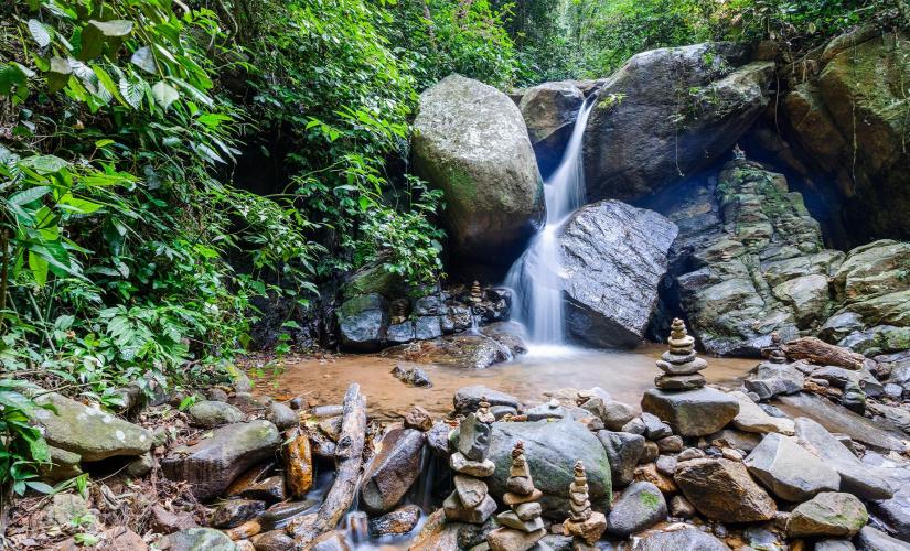Rainforest Jeep Tour in Rio de Janeiro (Tijuca, Cachoeira dos Macacos)