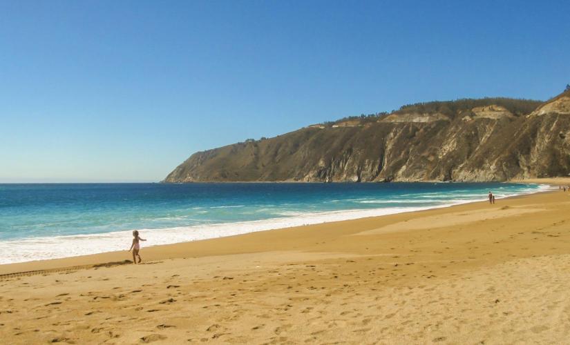 Vina del Mar Tour from Santiago (ValparaÃ­so and the Casablanca Valley)