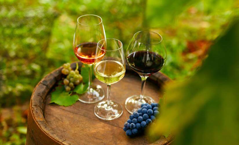Half Day Casablanca Valley Vineyards and Premium Wine Tasting