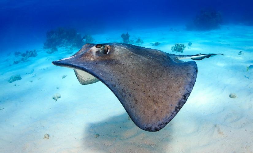 Private Lagoon Extravaganza - Full Day
