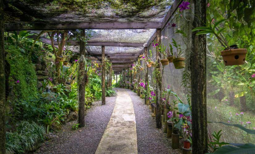 Private Sleeping Giant, Garden of Orchids and Sri Siva Subramaniya Temple Tour with Roundtrip Hotel Transportation(Goldberg Group)