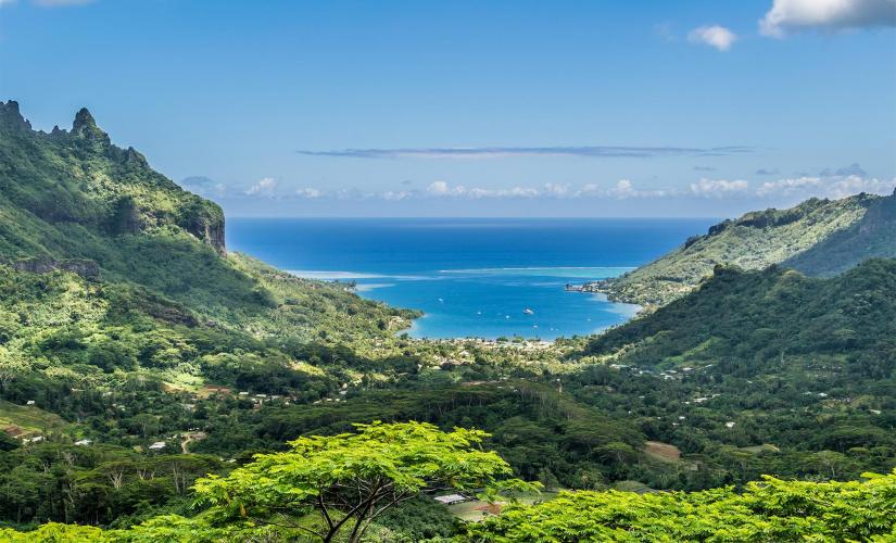 Moorea Island Safari