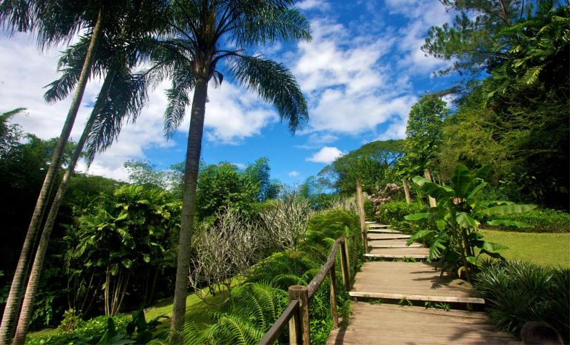 Private Great Taste of Fiji and Thermal Mudpool