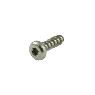 Screw, K30x10 316 SS Pan Torx