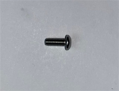 Screw, M4x10 304 SS SKT Button