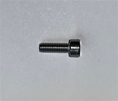 Screw, M4x12 304 SS Skt Cap