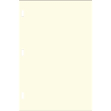 Minute Paper Letter Size 20lb., Rectangular Rod Punched