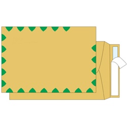 Brown Kraft Envelope